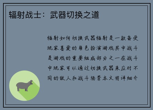 辐射战士：武器切换之道